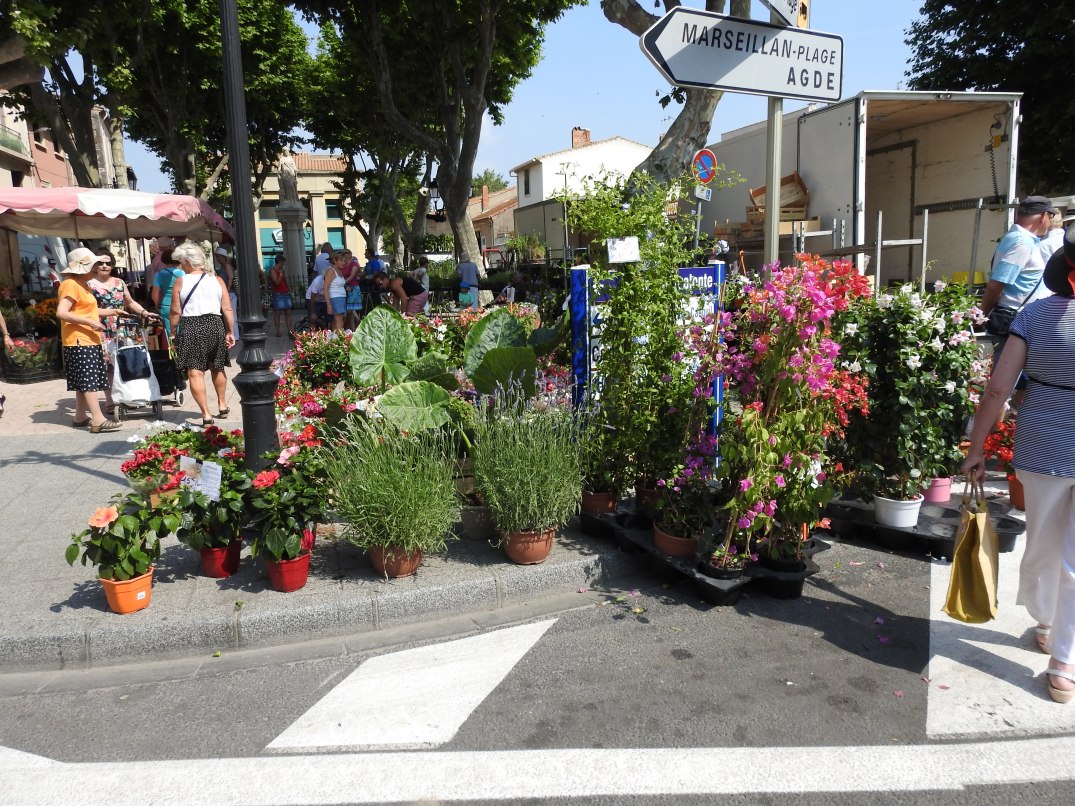 Blommor på marknaden i Marseillan